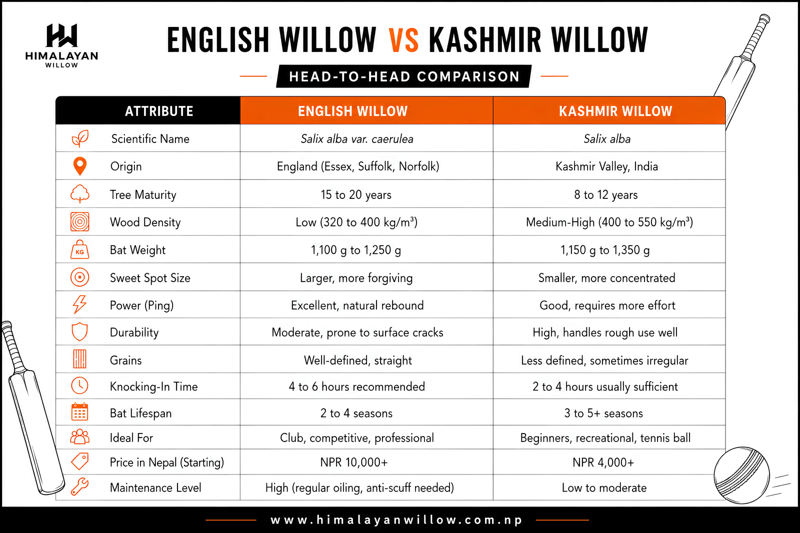 Head-to-head comparison chart of English Willow and Kashmir Willow cricket bats, covering origin, wood density, bat weight, sweet spot size, power, durability, grains, knocking-in time, lifespan and starting price in Nepal. The same figures are listed in the table below.
